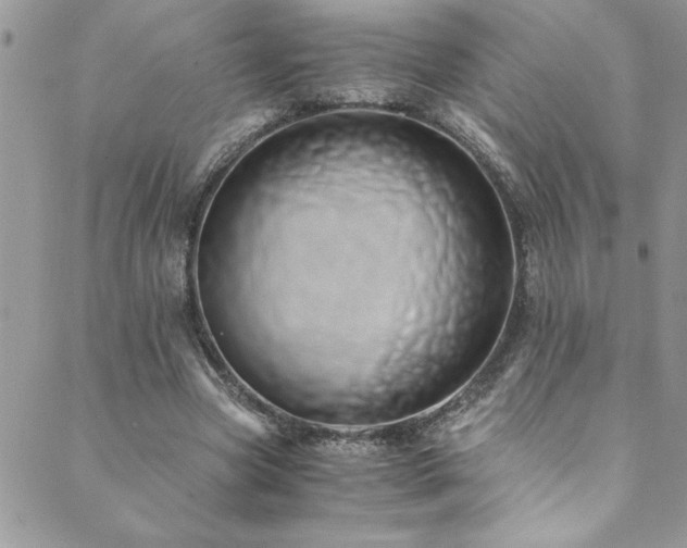 X0000089870537200706281318