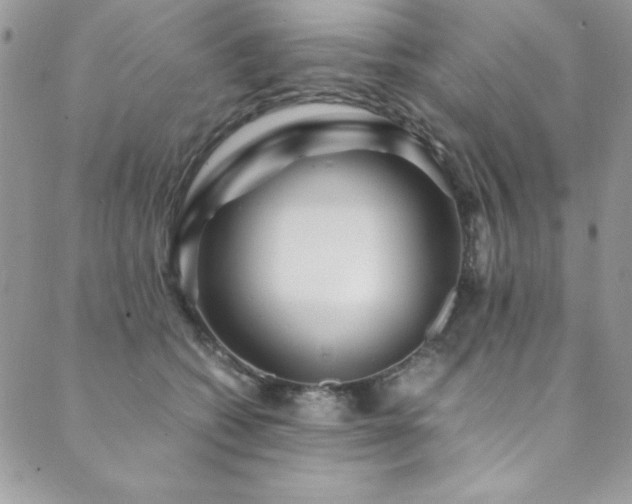 X0000089870562200706281319