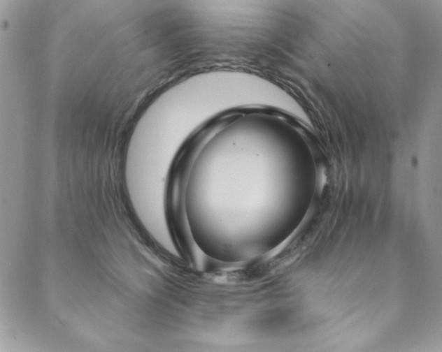 X0000089870564200706281319