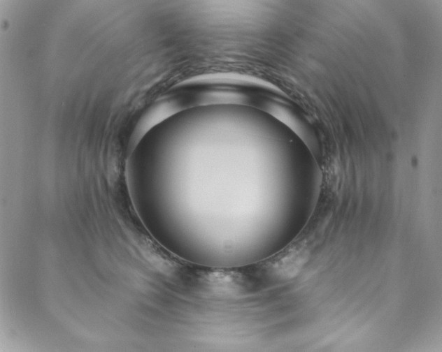 X0000089870566200706281319