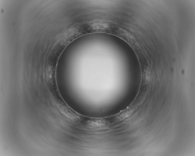 X0000089870567200706281319