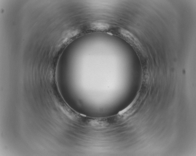 X0000089870568200706281319