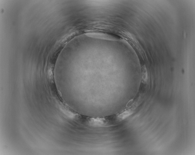 X0000089870573200706281319