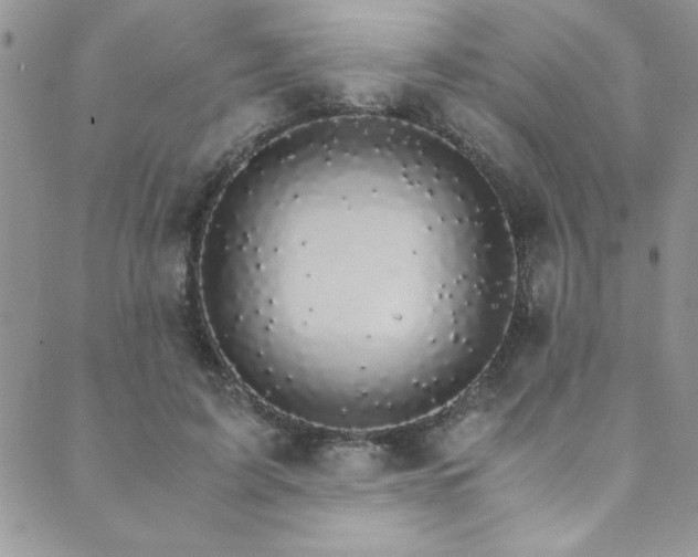 X0000089870595200706281318