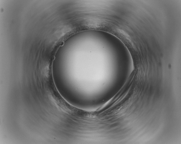 X0000089870596200706281318
