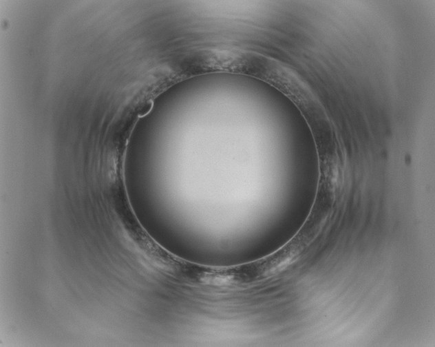 X0000089870602200706281318