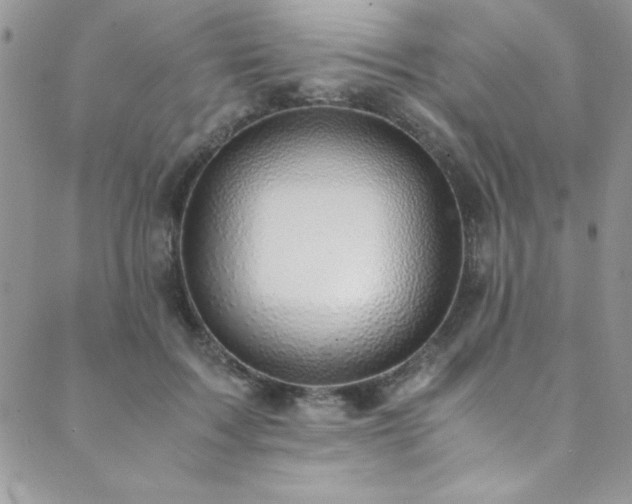 X0000089870603200706281318