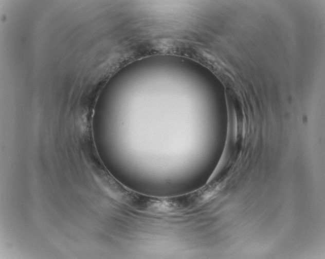X0000089870611200706281318