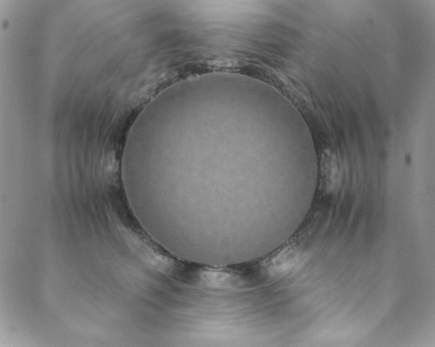 X0000089870614200706281317