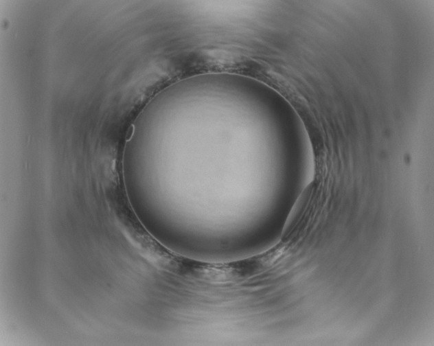 X0000089870615200706281317