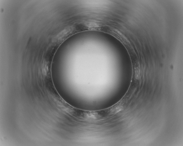 X0000089870618200706281317