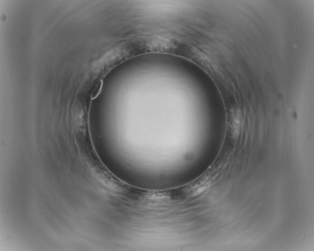 X0000089870619200706281317