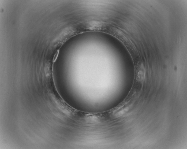 X0000089870620200706281317