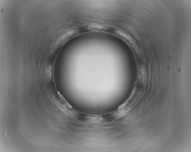 X0000089870621200706281317