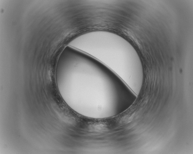 X0000089870643200706281317