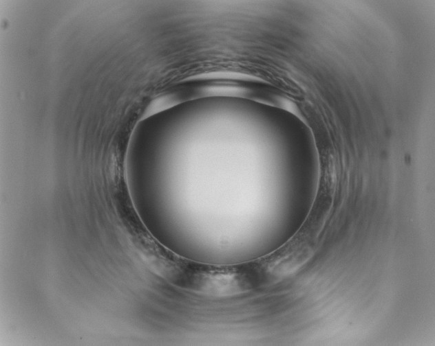 X0000089870651200706281317