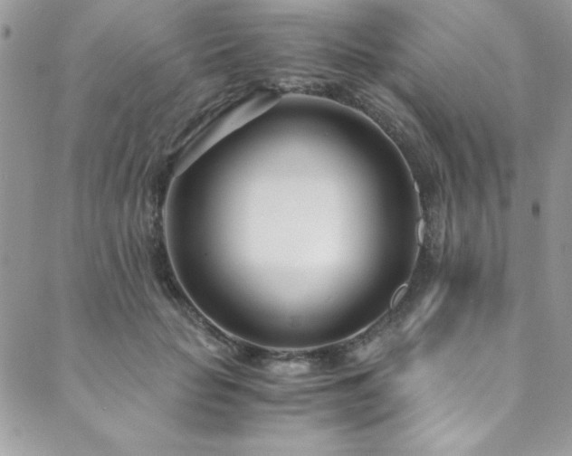 X0000089870653200706281317