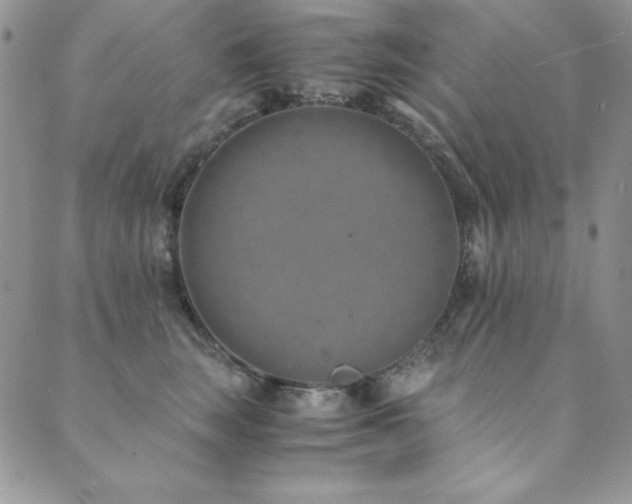 X0000089870663200706281317