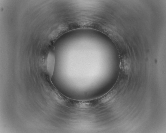 X0000089870664200706281317