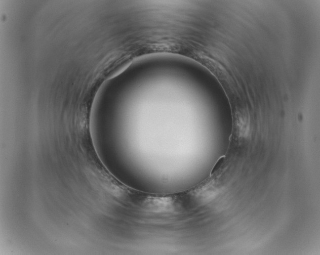 X0000089870665200706281317