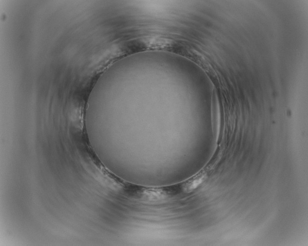 X0000089870666200706281317