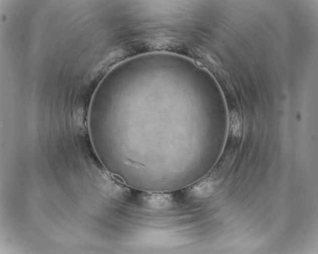 X0000089870670200706281317
