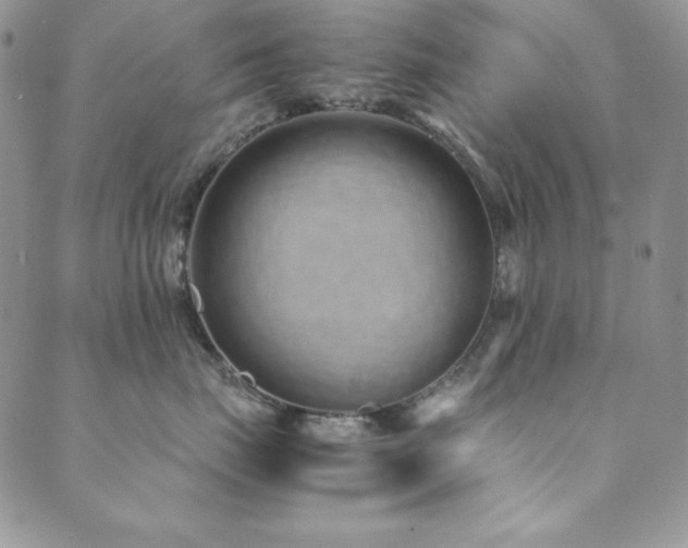 X0000089870671200706281317