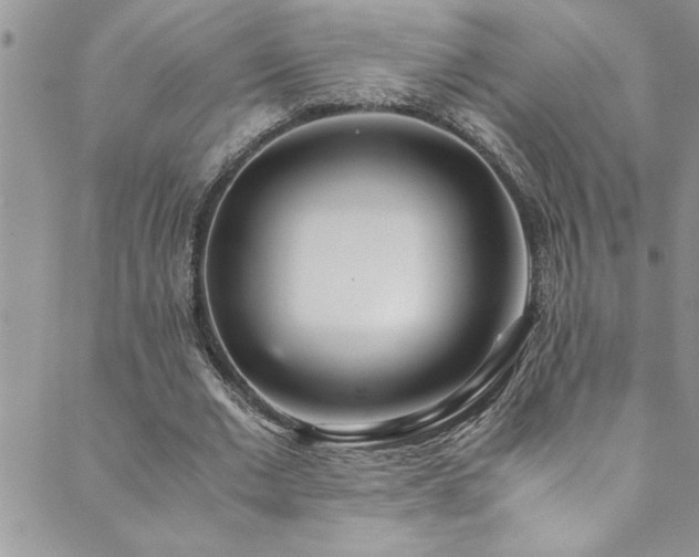 X0000089870677200706281316