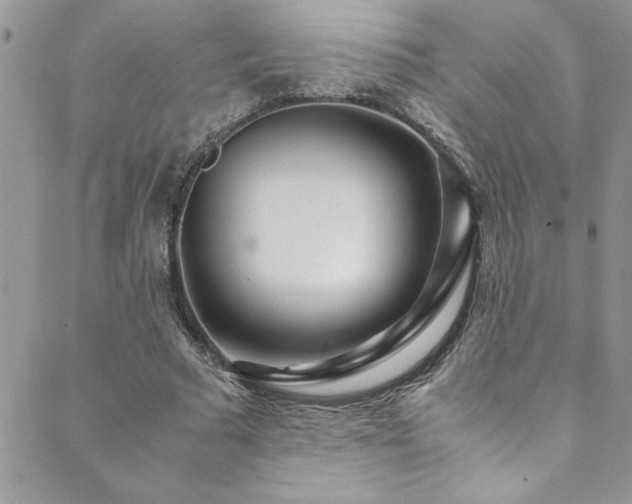 X0000089870681200706281316