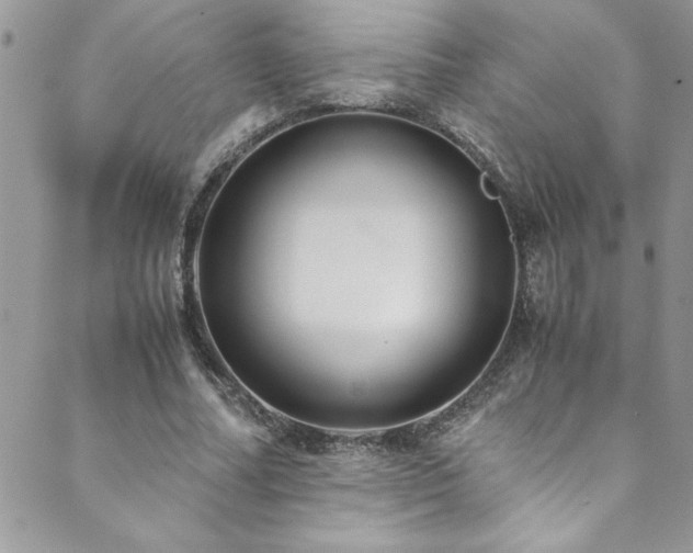X0000089870682200706281316