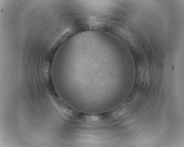 X0000089870698200706281316