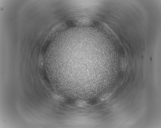 X0000089870701200706281316