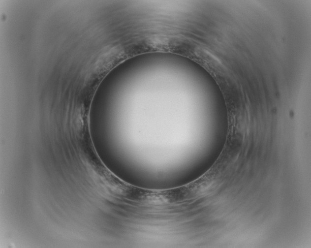 X0000089870702200706281316