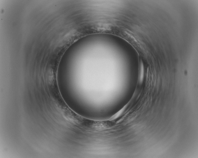 X0000089870704200706281316