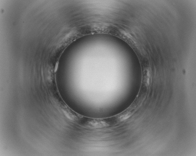 X0000089870712200706281316