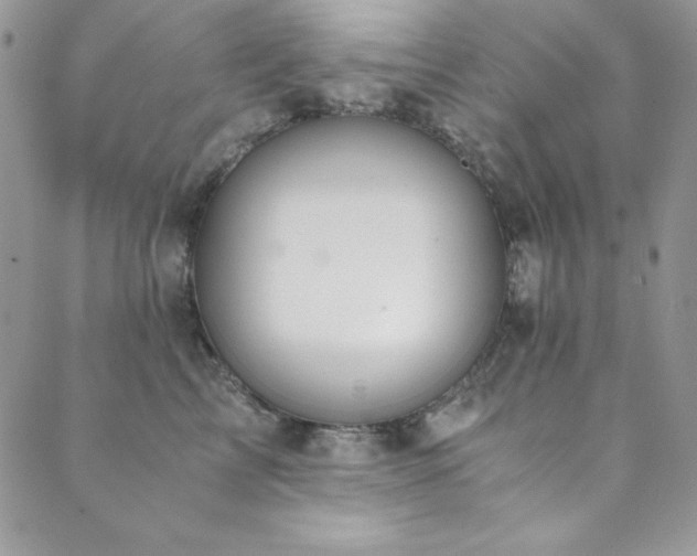 X0000089870713200706281316