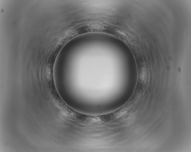 X0000089870715200706281316