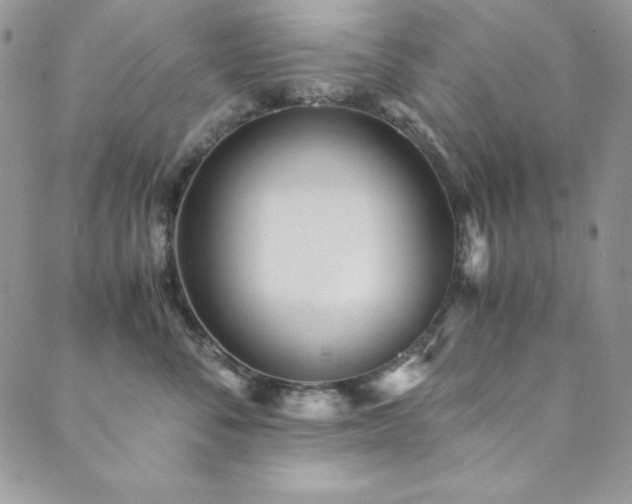 X0000089870716200706281316