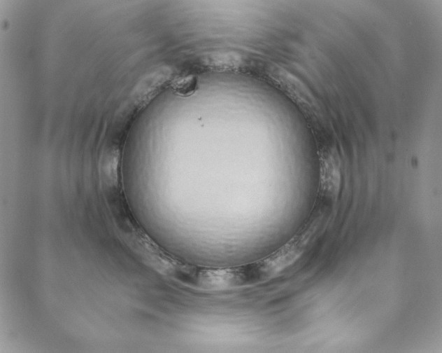 X0000089870717200706281316