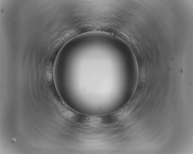 X0000089870719200706281316