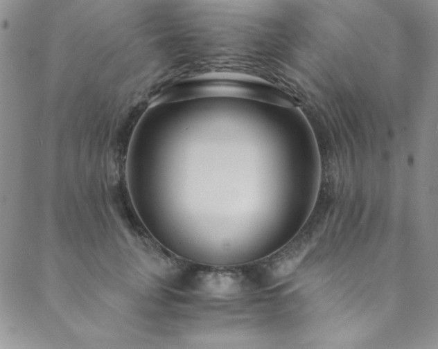 X0000089870751200706281315