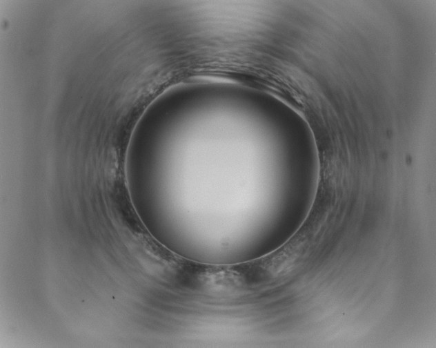 X0000089870752200706281315