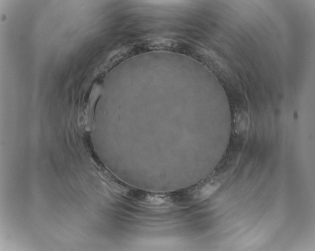 X0000089870753200706281315
