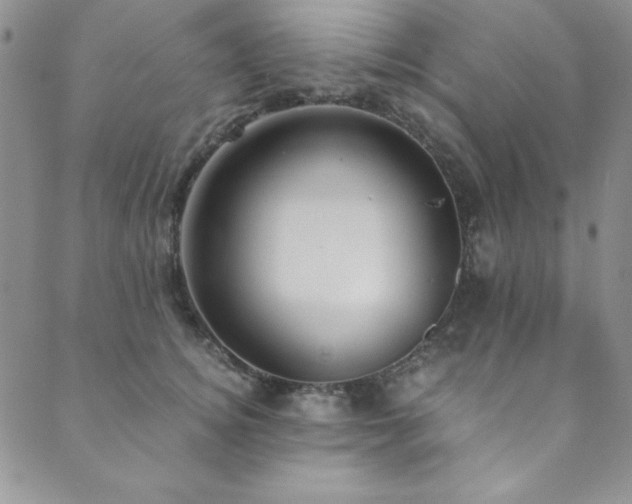X0000089870756200706281316