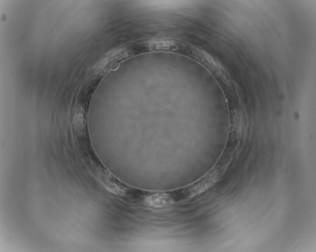 X0000089870761200706281316