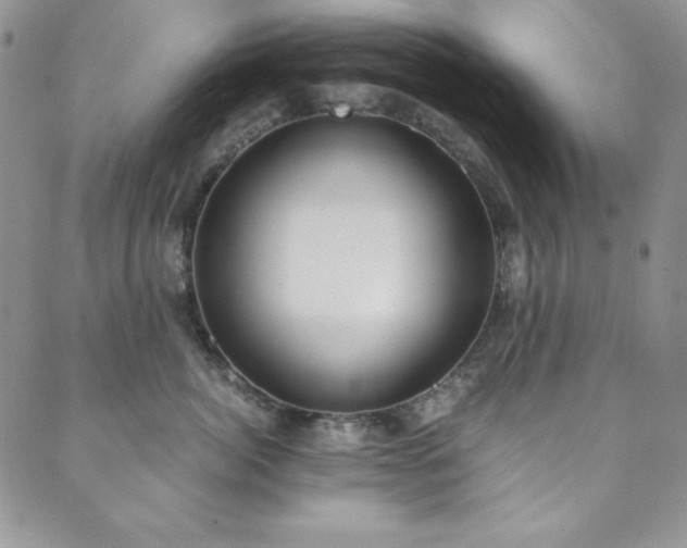 X0000089870764200706281316