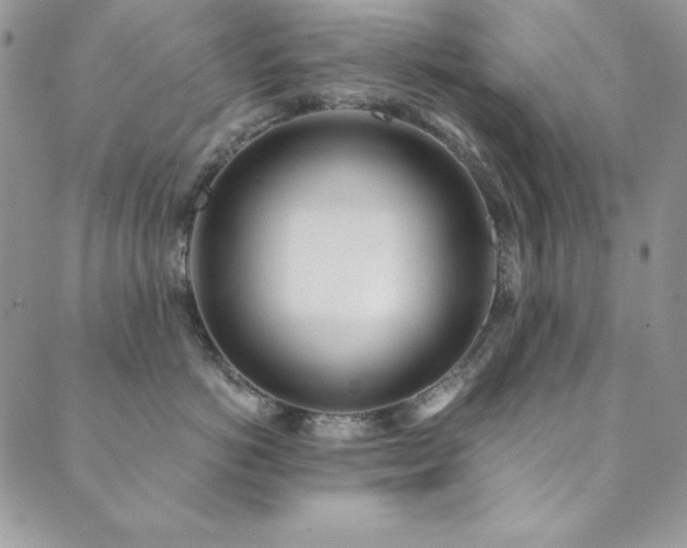 X0000089870766200706281316