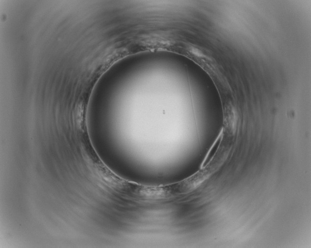 X0000089870767200706281316