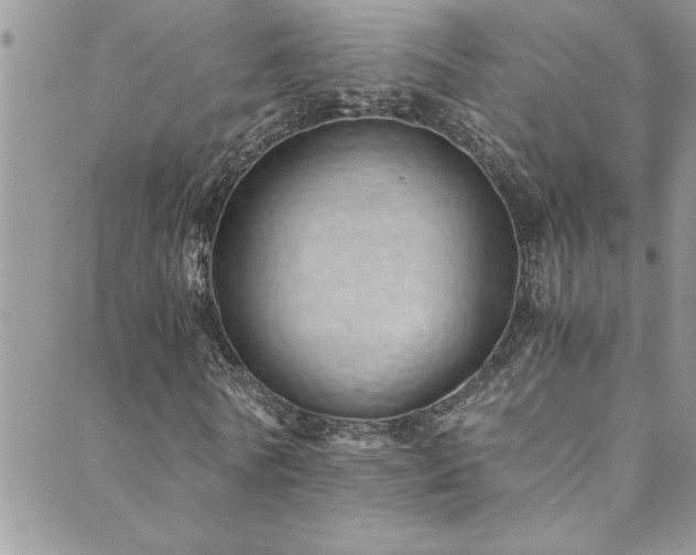X0000089870770200706281315