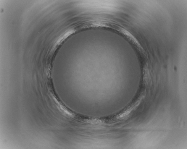 X0000089870785200706281315